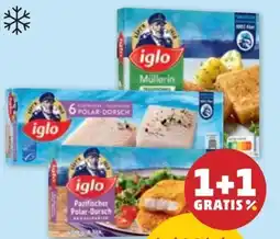 PENNY Iglo Polardorsch Angebot