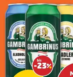 PENNY Gambrinus Bier Angebot