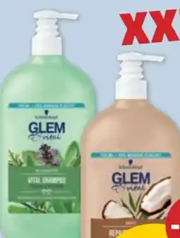 PENNY Schwarzkopf Glem Vital Shampoo Angebot
