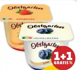 PENNY Danone Obstgarten Angebot