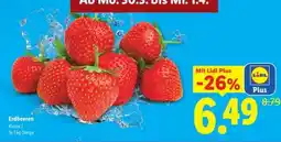 Lidl Erdbeeren Angebot