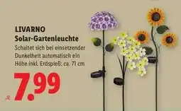 Lidl LIVARNO Solar-Gartenleuchte Angebot