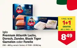 MPreis Iglo Premium Atlantik Lachs, Dorsch, Zander, Black Tiger Garnelen oder Forelle Angebot