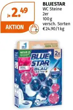 Müller BLUESTAR WC Steine 2er Angebot