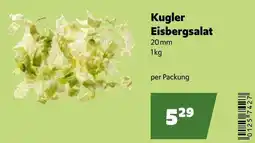 Eurogast Grissemann Kugler Eisbergsalat Angebot