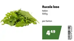 Eurogast Grissemann Rucola lose Angebot