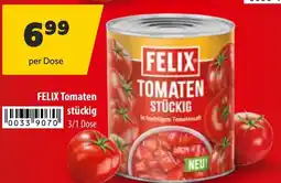 Eurogast Grissemann FELIX Tomaten stückig Angebot
