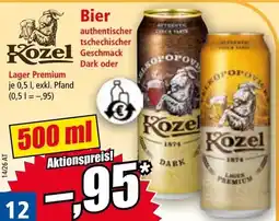 Norma Kozel Premium Lager Angebot