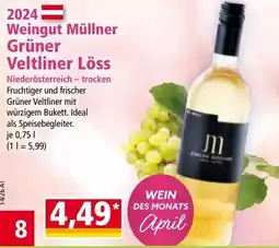 Norma Weingut Müllner Grüner Veltliner Löss Angebot