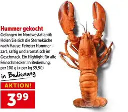 Interspar Hummer gekocht Angebot