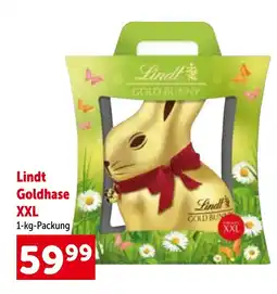 Interspar Lindt goldhase xxl Angebot