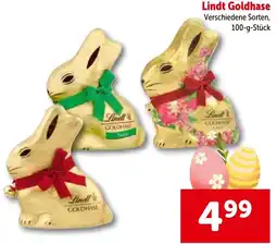 Interspar Lindt Goldhase Angebot