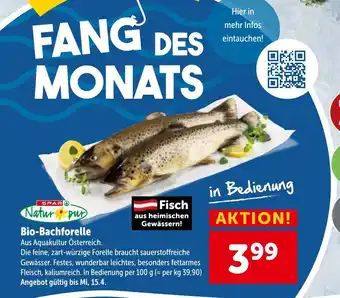 Interspar Bio bachforelle Angebot