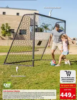 Interspar Scala aluminium fußballtor Angebot