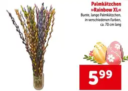 Interspar Palmkätzchen rainbow xl Angebot