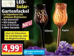 Norma Led solar gartenfackel Angebot