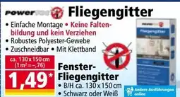 Norma Fliegengitter Angebot