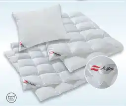 Matratzen Concord Polster Angebot