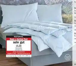 Matratzen Concord Daunendecke 6x8 Angebot
