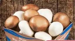 Eurospar Bad Blumauer Bio-Champignon Mix Angebot