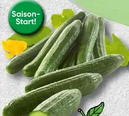 Spar Spar Gurken Angebot