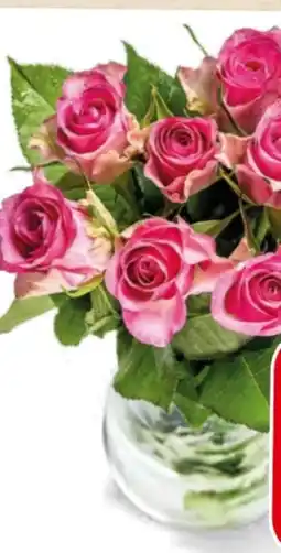 Eurospar Fairtrade Rosen Angebot