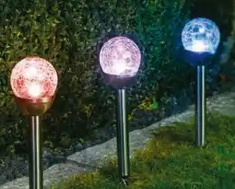 Hagebau Casaya LED-Solarerdspieß Viska Angebot