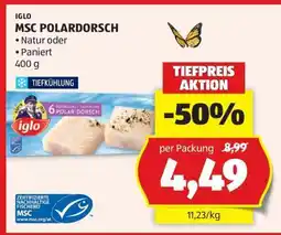 Hofer MSC POLARDORSCH Angebot