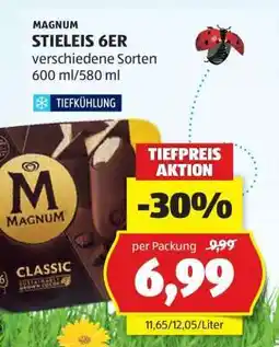 Hofer MAGNUM STIELEIS 6ER Angebot