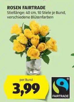Hofer ROSEN FAIRTRADE Angebot