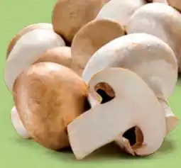 Hofer Hofer Marktplatz Champignons Angebot