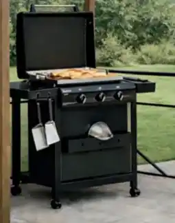 Hofer Enders Plancha Gasgrill Amaro 3 Angebot