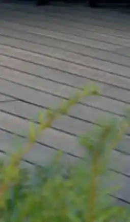 Hofer Home Deluxe WPC Samana Premium Terrassendielen Angebot