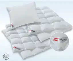 Matratzen Concord Mono-steppbett ganzjahresbett Angebot