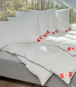 Matratzen Concord Sommer Daunendecke Angebot