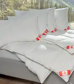 Matratzen Concord Feder- und Daunenpolster Angebot