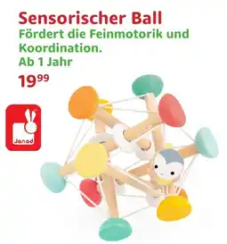 Spielwaren Heinz Sensorischer Ball Angebot
