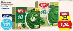 Hofer Iglo cremespinat Angebot