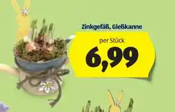 Hofer Zinkgefäß, gießkanne Angebot