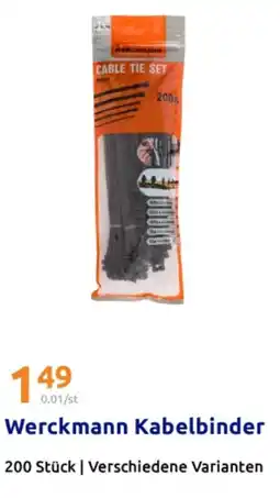 Action Werckmann Kabelbinder Angebot