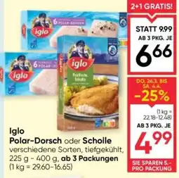 Maximarkt Iglo polar-dorsch oder scholle Angebot