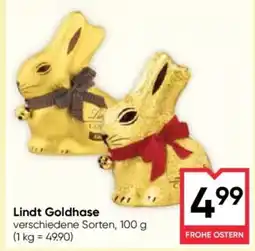 Maximarkt Lindt Goldhase Angebot