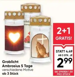Maximarkt Grablicht Ambrosius 5 Tage Angebot