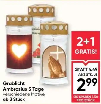 Maximarkt Grablicht Ambrosius 5 Tage Angebot