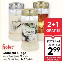 Maximarkt Grablicht 5 tage Angebot