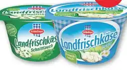T&G Schärdinger Landfrischkäse Angebot
