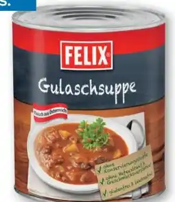 T&G Felix Gulaschsuppe Angebot