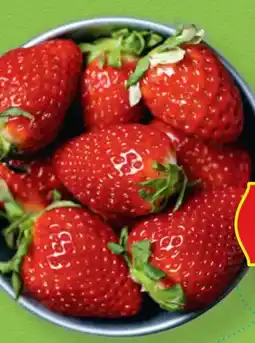 Hofer Hofer Marktplatz Erdbeeren Angebot