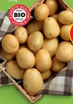 Hofer Zurück zum Ursprung Bio-Kartoffeln Angebot
