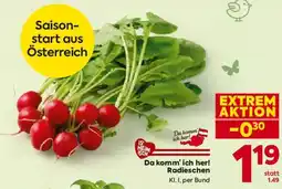 Billa Da komm' ich her! Radieschen Angebot